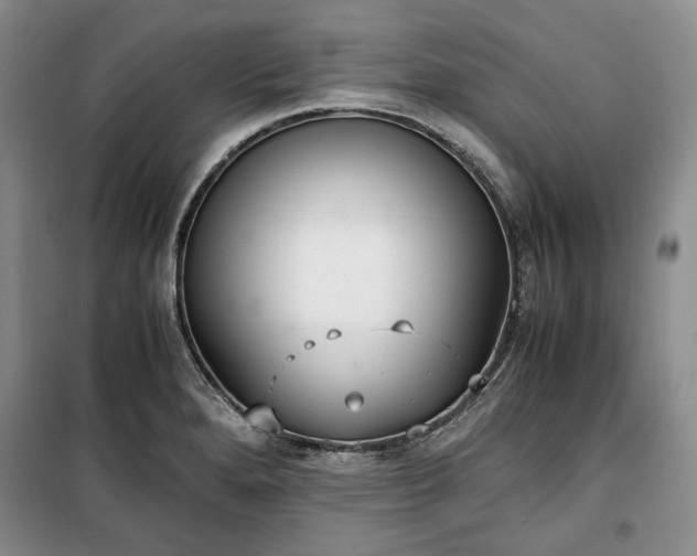 X0000100351280200806130944