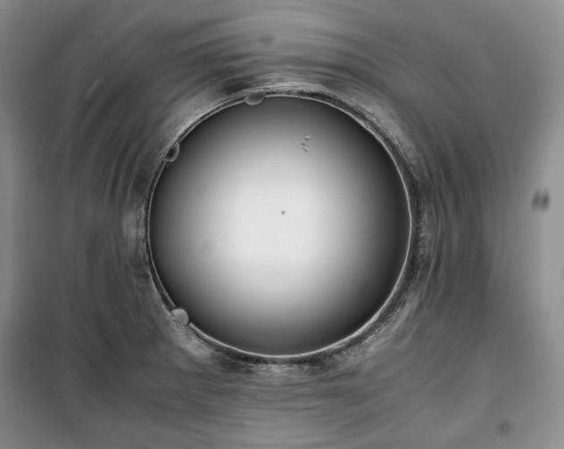 X0000100351281200806130944