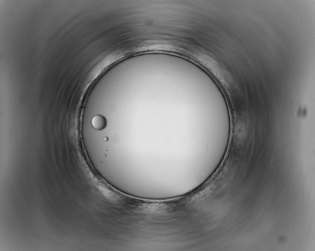 X0000100351282200806130944