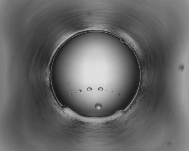 X0000100351284200806130944