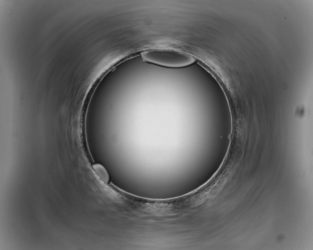 X0000100351285200806130944