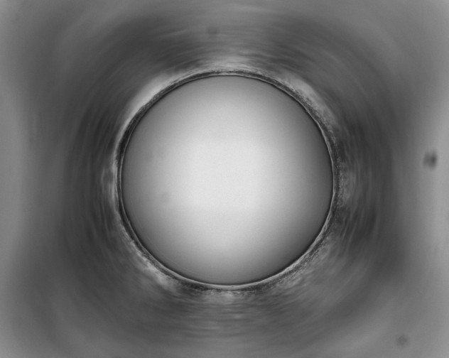 X0000100351286200806130944