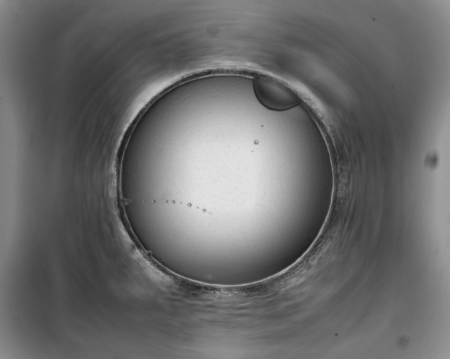 X0000100351287200806130944