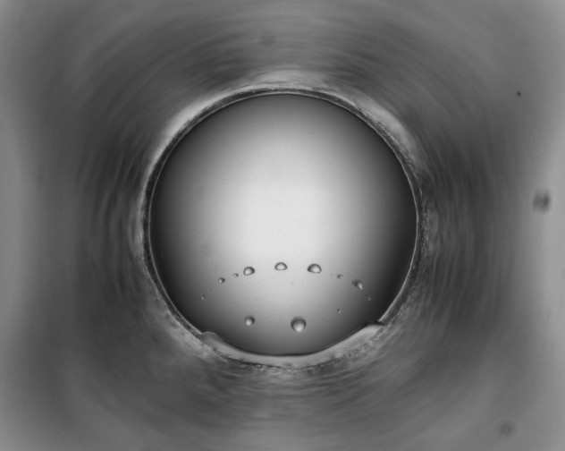 X0000100351288200806130944