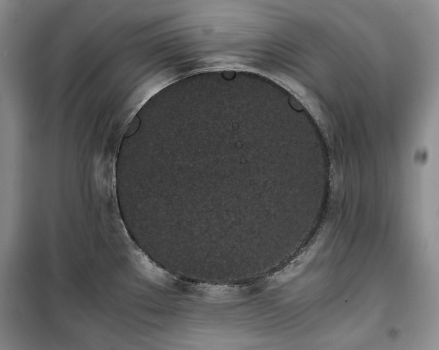 X0000100351289200806130944