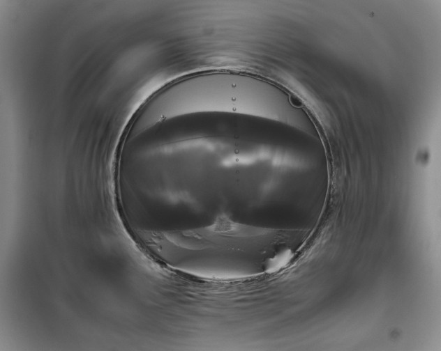 X0000100351291200806130944