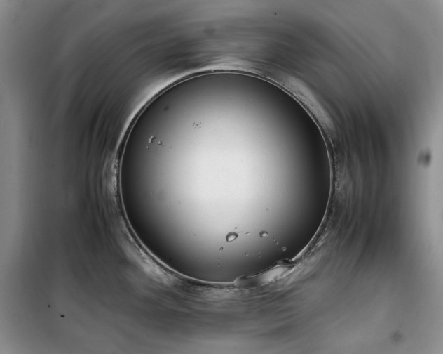 X0000100351292200806130944