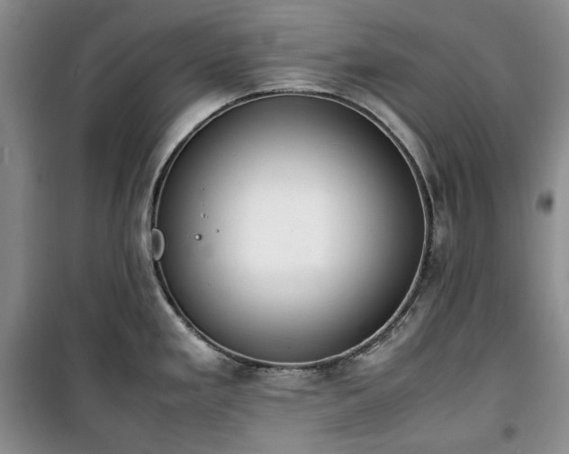 X0000100351293200806130944