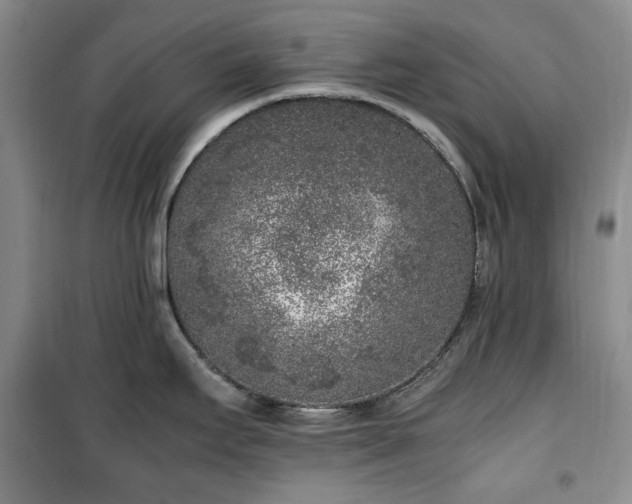 X0000100351295200806130944