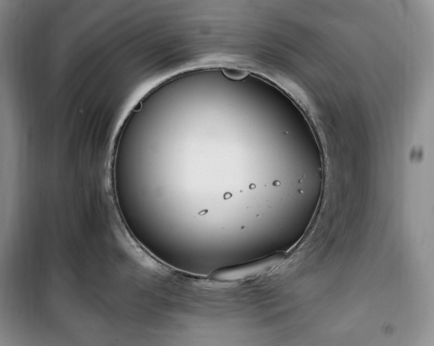 X0000100351296200806130943