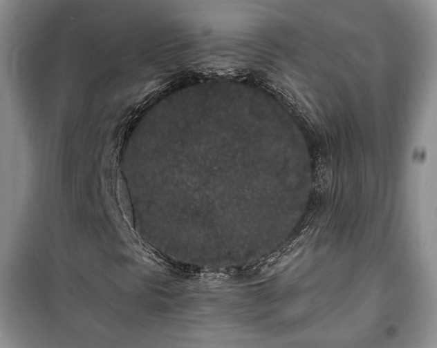 X0000100351297200806130943