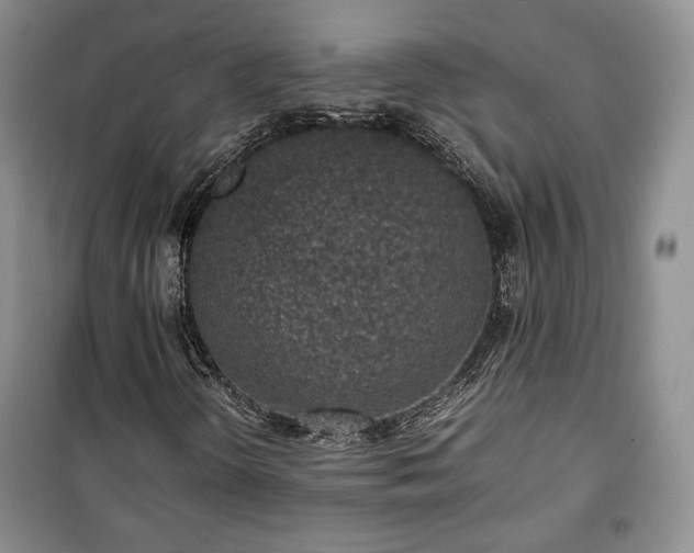 X0000100351298200806130943