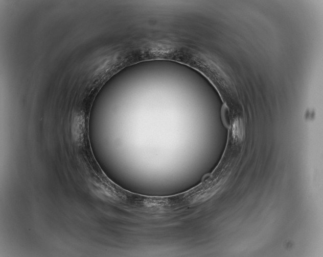 X0000100351299200806130943