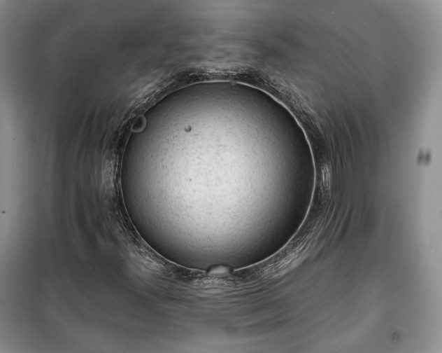 X0000100351300200806130943