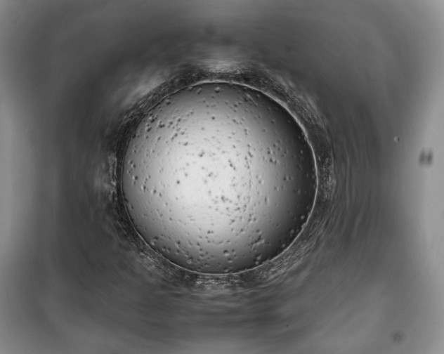 X0000100351301200806130943