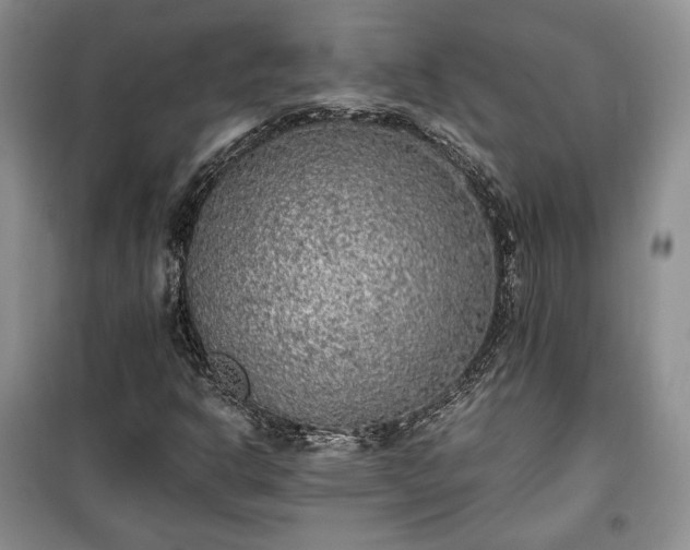 X0000100351302200806130943