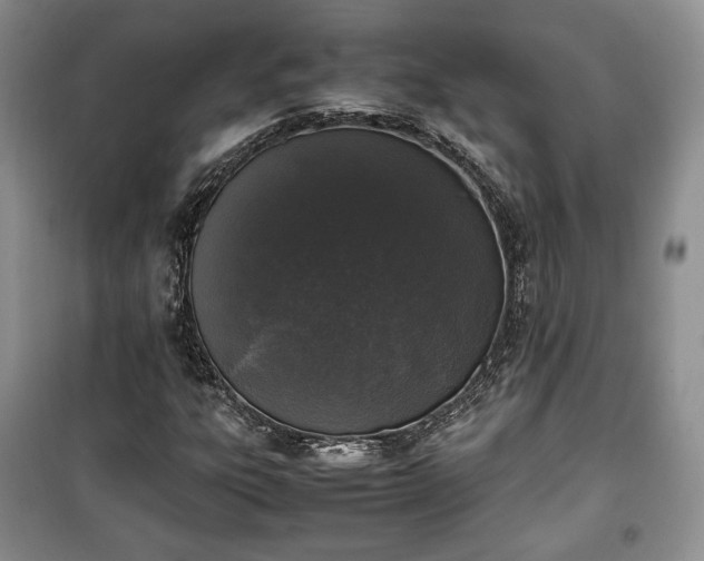 X0000100351303200806130943