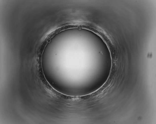 X0000100351304200806130943