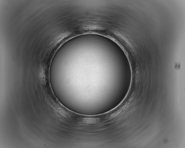 X0000100351305200806130943