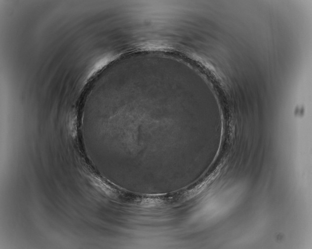 X0000100351306200806130943
