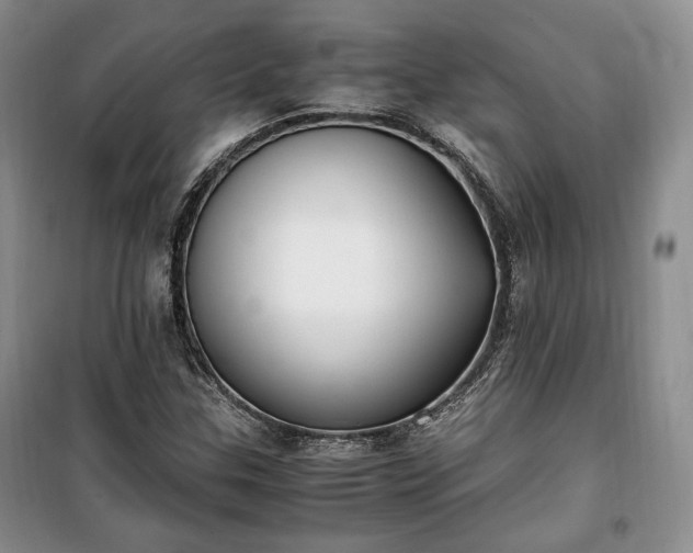 X0000100351307200806130943