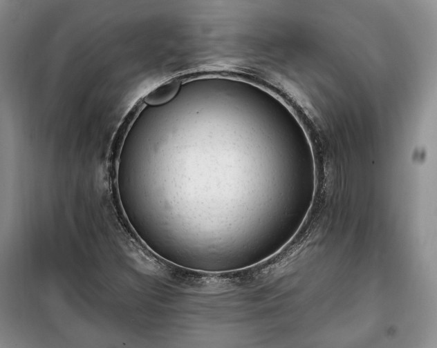 X0000100351308200806130943