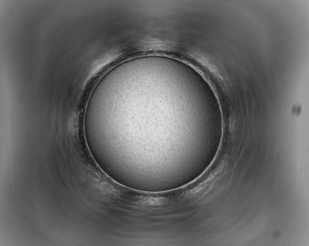 X0000100351309200806130943