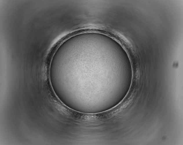 X0000100351310200806130943