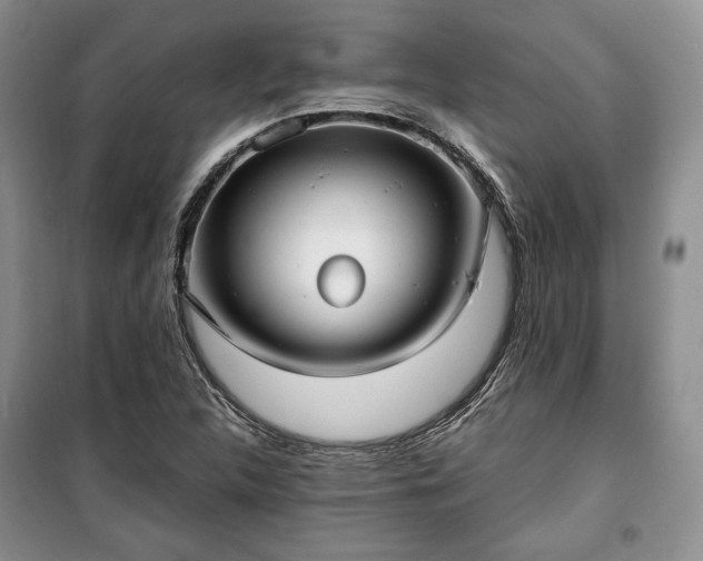 X0000100351312200806130943