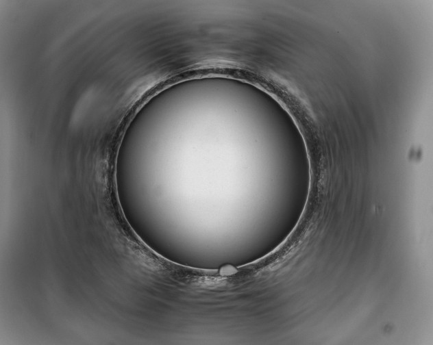 X0000100351313200806130943