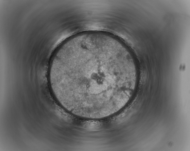 X0000100351314200806130943