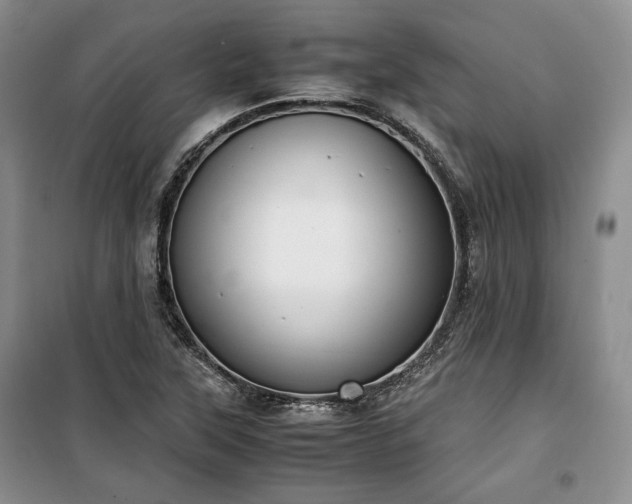 X0000100351315200806130943