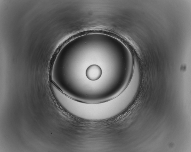 X0000100351316200806130943