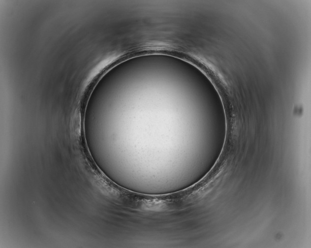 X0000100351317200806130943