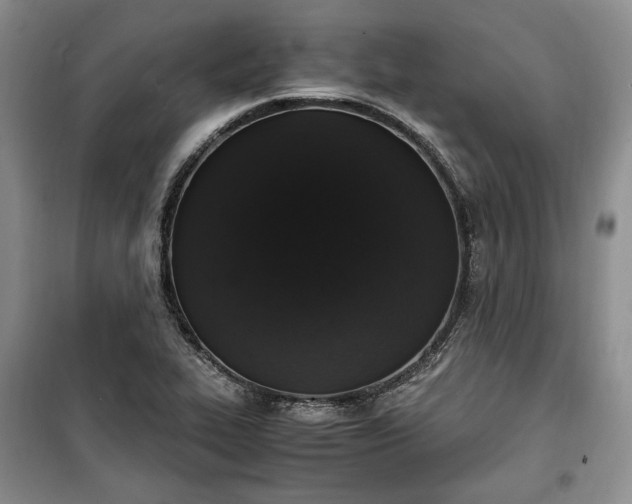 X0000100351319200806130943