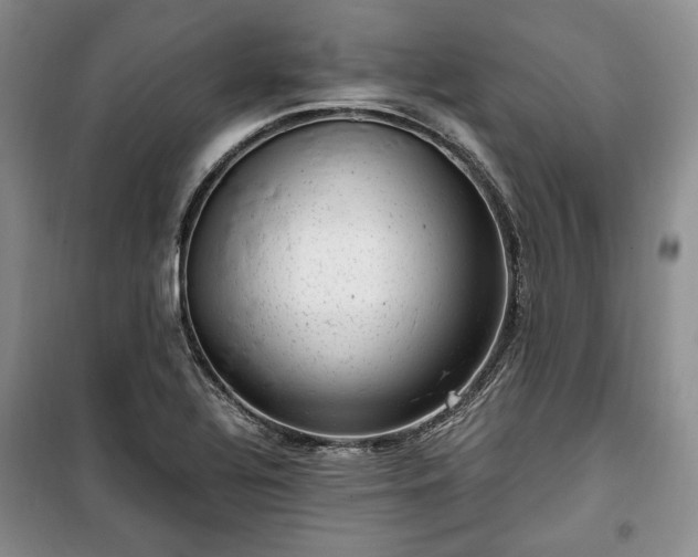 X0000100351320200806130943