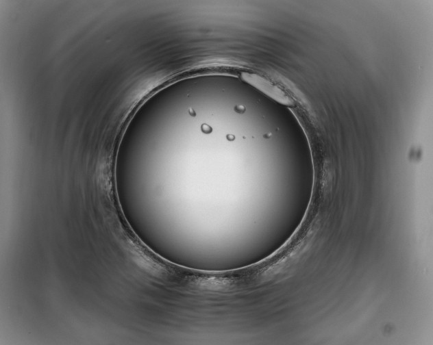X0000100351321200806130943
