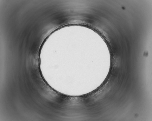 X0000100351322200806130943