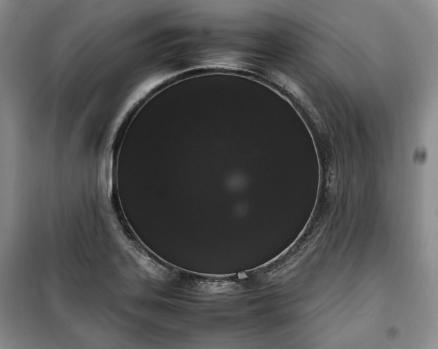 X0000100351323200806130943