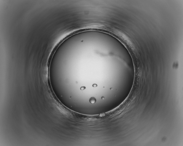 X0000100351324200806130943