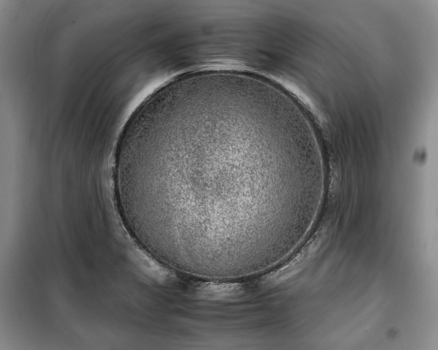 X0000100351325200806130943