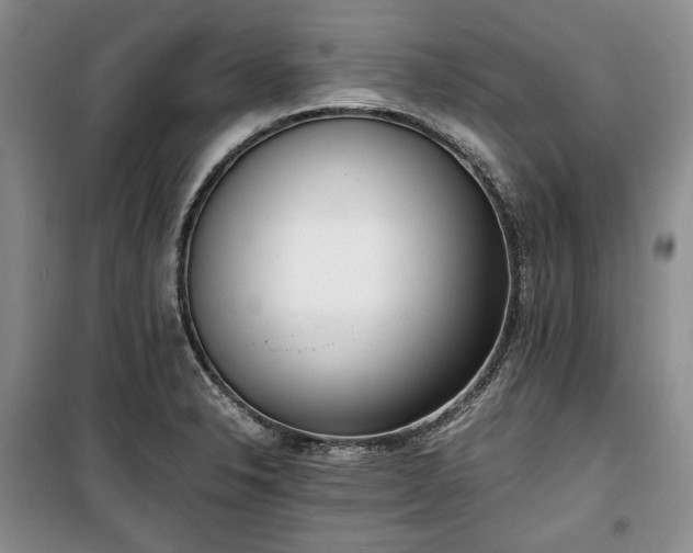X0000100351326200806130943