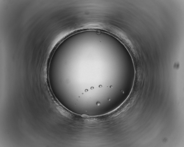 X0000100351328200806130943