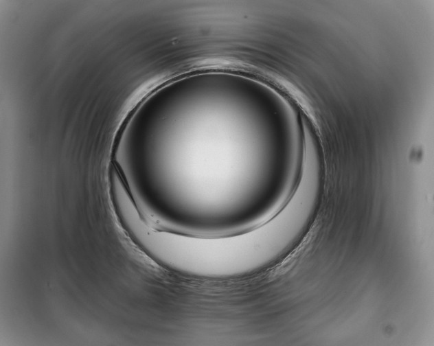X0000100351330200806130943