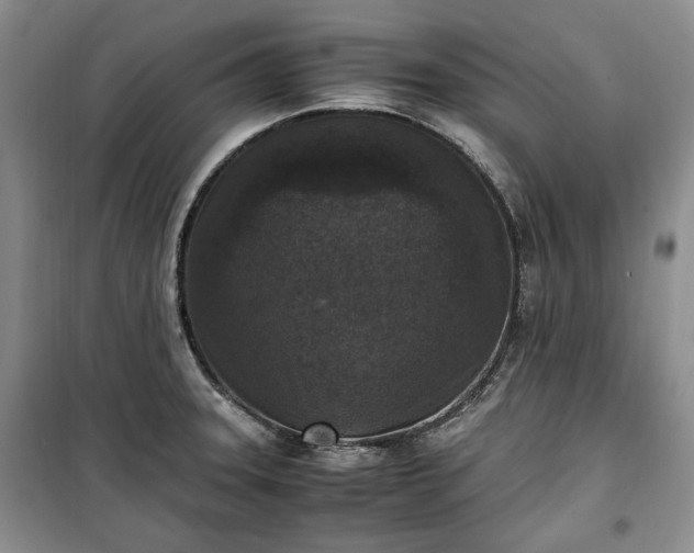 X0000100351331200806130943