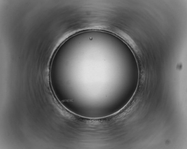 X0000100351332200806130943