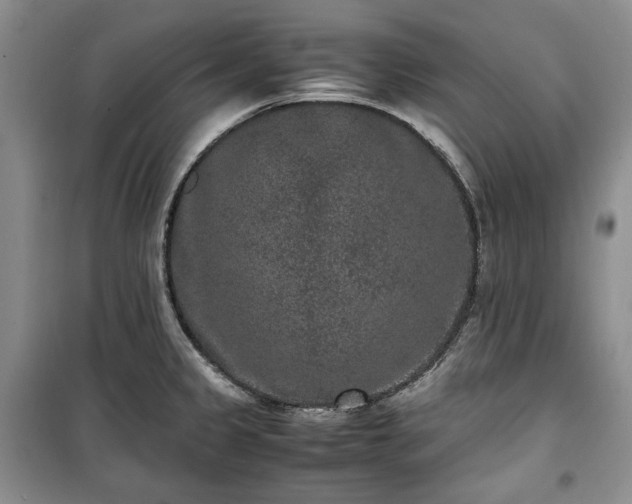 X0000100351333200806130943