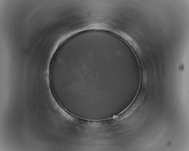 X0000100351334200806130943