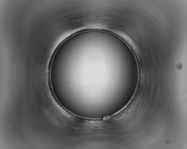 X0000100351335200806130943