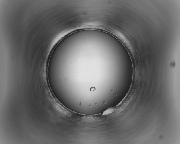 X0000100351336200806130943